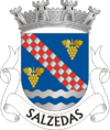 Brasão de armas de Salzedas