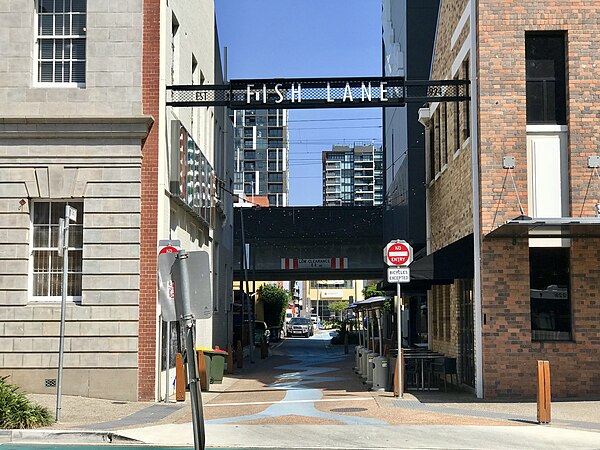 Image: The Grey Street end of Fish Lane, South Brisbane, Queensland 23