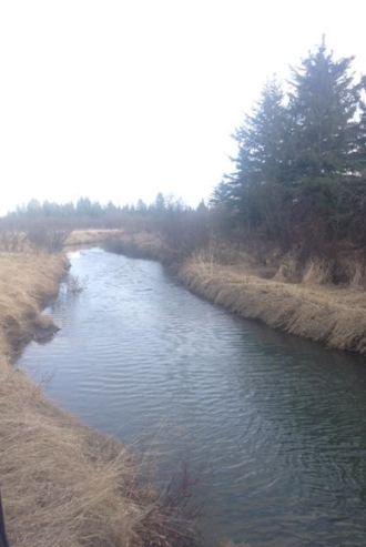 The North Raven River The North Raven River.png