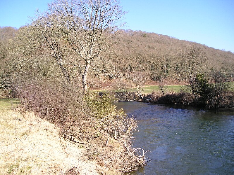 File:The Teifi in winter - geograph.org.uk - 1744139.jpg