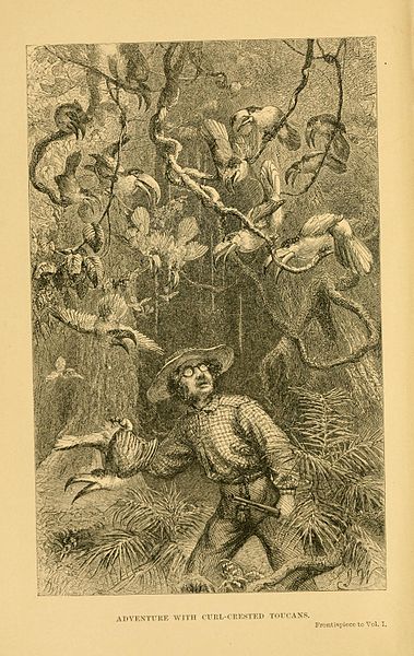 File:The naturalist on the River Amazons (Plate 1) (8452469723).jpg