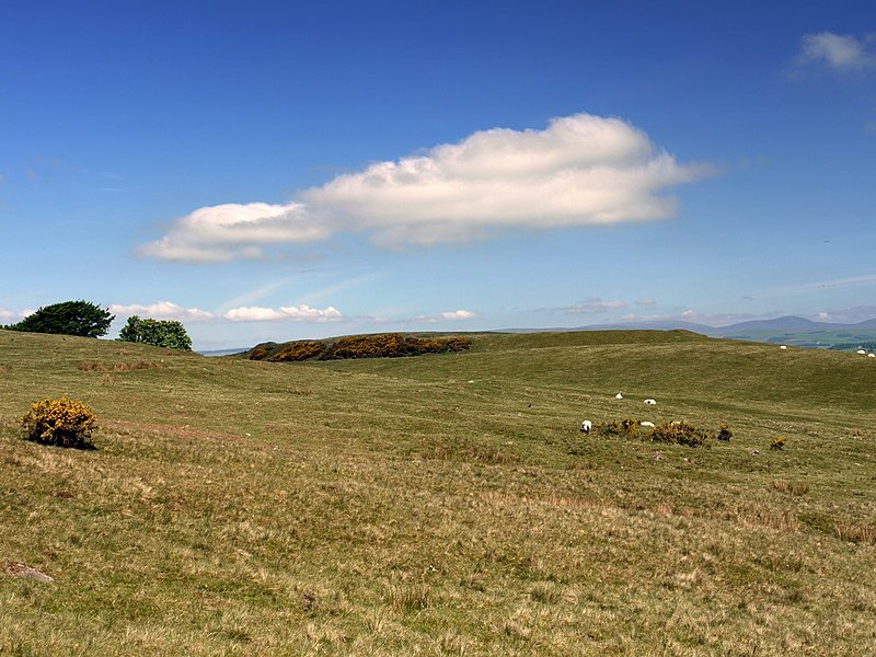 File:Tosson Burgh hill fort from the south-east - geograph.org.uk - 1887967.jpg