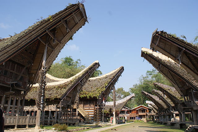 An avenue of houses in a Torajan village.