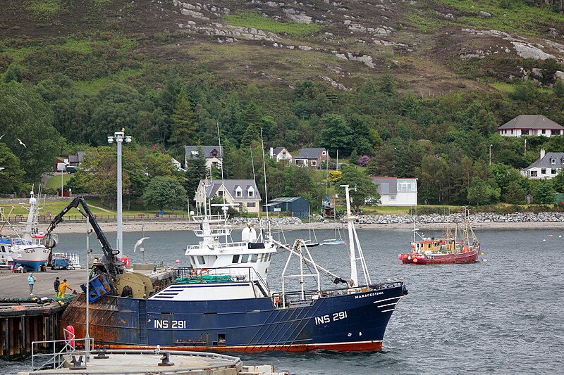 File:Trawler Maracestina in Ullapool harbour - geograph.org.uk - 4842565.jpg