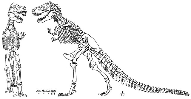 1917 skeletal diagram of Tyrannosaurus published by Henry Fairfield Osborn, which was the basis of the novel's cover, and subsequently the logo of the