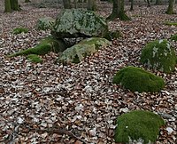 Urdolmen von Altkalen