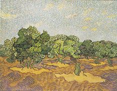 Verger d'olivier Vincent van Gogh, novembre 1889.
