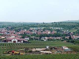 <span class="mw-page-title-main">Velké Pavlovice</span> Town in South Moravian, Czech Republic