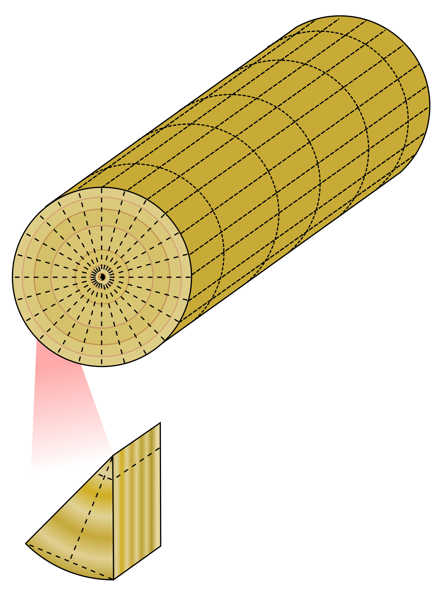 Violon — Wikipédia