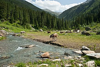 Voldertal near Schwarzbrunn.jpg