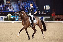 WDM Mechelen 2015 - Grand Prix Freestyle (23764866700).jpg