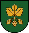 Escudo de Hopfgarten en Defereggen