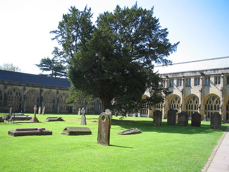 File:WellsCathedralCloisters.jpg