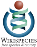 Vorschaubild für Wikispecies