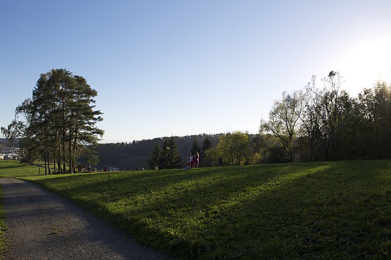 File:Wolfesberg - panoramio (16).jpg