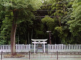 Yawata no Yabushirazu -metsä