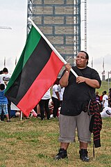 Young man from Detroit waving the Black Liberation Flag at the Washington Monument - 50th Anniversary of the March on Washington for Jobs and Freedom.jpg