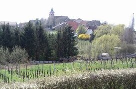 Zellenberg, Haut-Rhin, France.