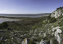 Île Saint-Martin, Gruissan cf17.jpg