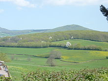 Photo d'un paysage de campagne vallonné composé de champs au premier plan et de bois au second plan sur les coteaux.