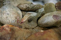 090820-Schnecke.jpg