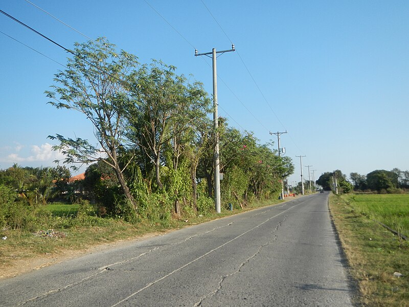 File:09496jfSampaloc Highway Fields Capihan Roads Rafael Bulacanfvf 02.JPG