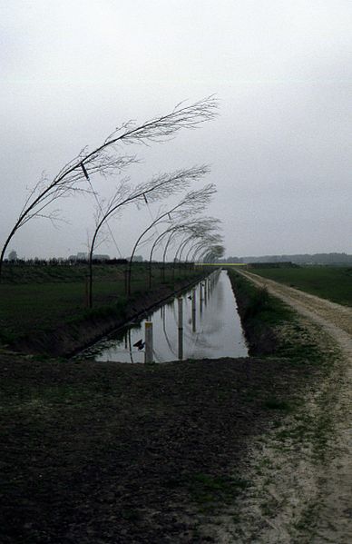 File:102 Stadsmarkering 950 jaar Groningen (Lewenborg).jpg