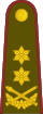 20-Lithuania Army-MG.svg