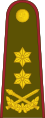 Generolas majoras (Lithuanian Land Forces)[40]
