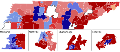 2010 Tennessee House of Representatives election vote share map.svg
