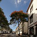 Rua dos Ferreiros ao Largo do Colégio