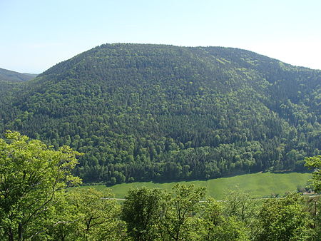 2012 Pfälzerwald 193 Roßberg