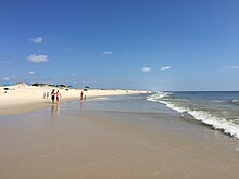 2016-08-14 10 20 59 View north up the beach from the waters edge at Bathing Beach Number 1 in Island Beach State Park, New Jersey.jpg