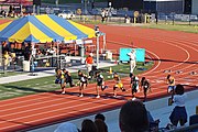 Men's 100m finals