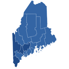 Results by county
Map legend
Ringelstein--70-80%
Ringelstein--60-70% 2018MEGovD.svg