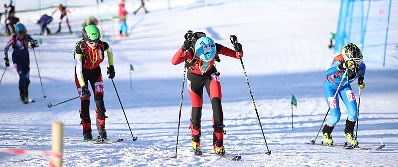 File:2020-01-14 Ski mountaineering Mixed Relay (2020 Winter Youth Olympics) by Sandro Halank–085.jpg