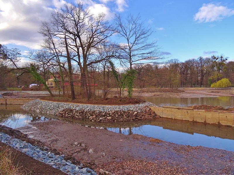 File:3 April 2015 Swan pond reshaping Dresden 118855027.jpg