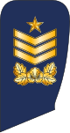 8.SKAF-SGM.svg