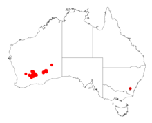 Acacia inaequilobaDistMap456.png