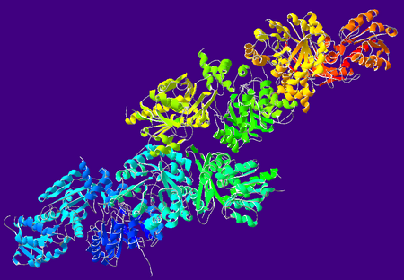 AcetaldehydeDehydrogenase-1NVM.png