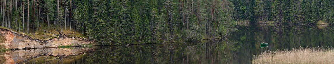 A view of wilderness in Estonia Ahja joe urgorg.jpg