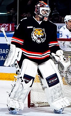 Alexander Pechursky 2016-01-29 (cropped).jpg