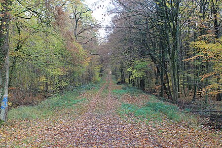 Allee faisanderie estree