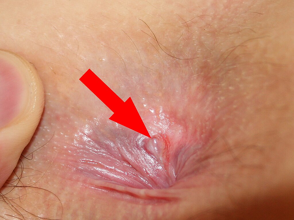 Ufc Women Tits