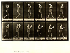 Animal locomotion. Plate 44 (Boston Public Library).jpg
