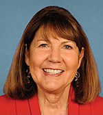 Ann Kirkpatrick