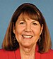 Ann Kirkpatrick 113th Congress.jpg