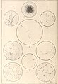 Annales de l'Institut Pasteur (1899) (14764609881).jpg