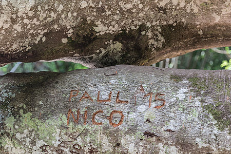 On the puy Pariou (France), Paul and Nico have been there.