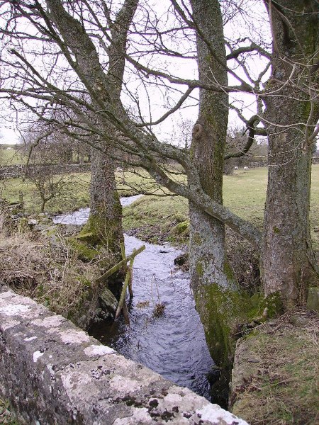 File:Arndale Beck - geograph.org.uk - 126532.jpg